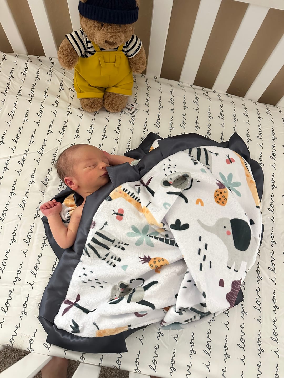 Customer photo review of Zoo Day Blanket
