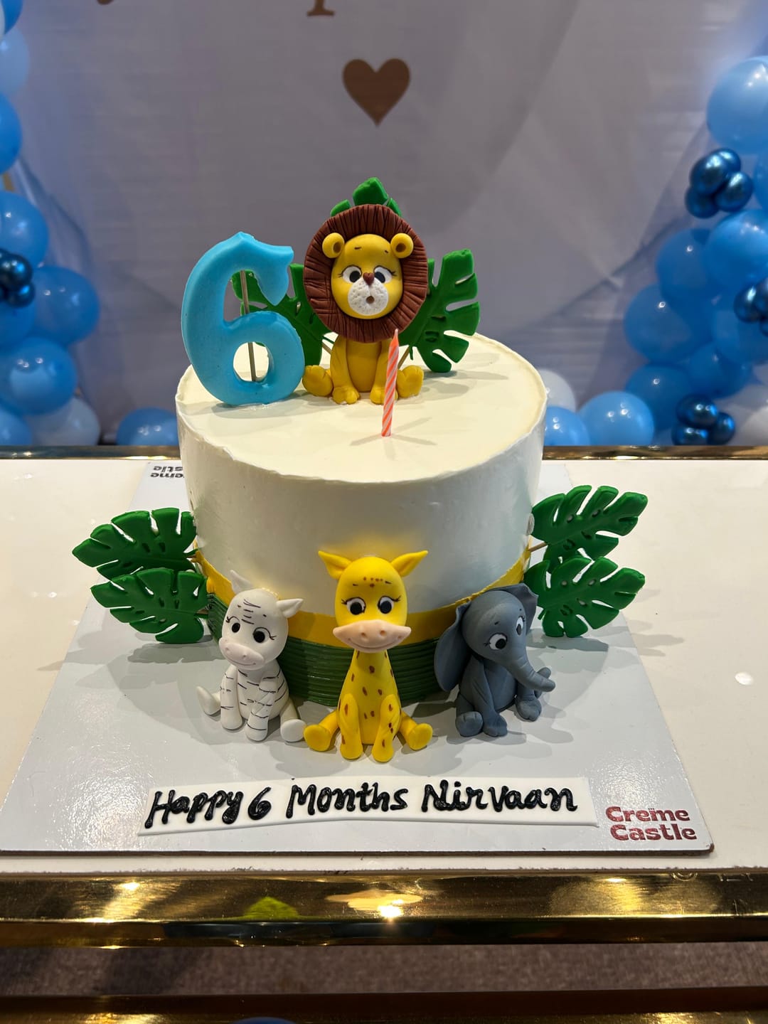 Customer photo review of Animal Party Birthday Cake