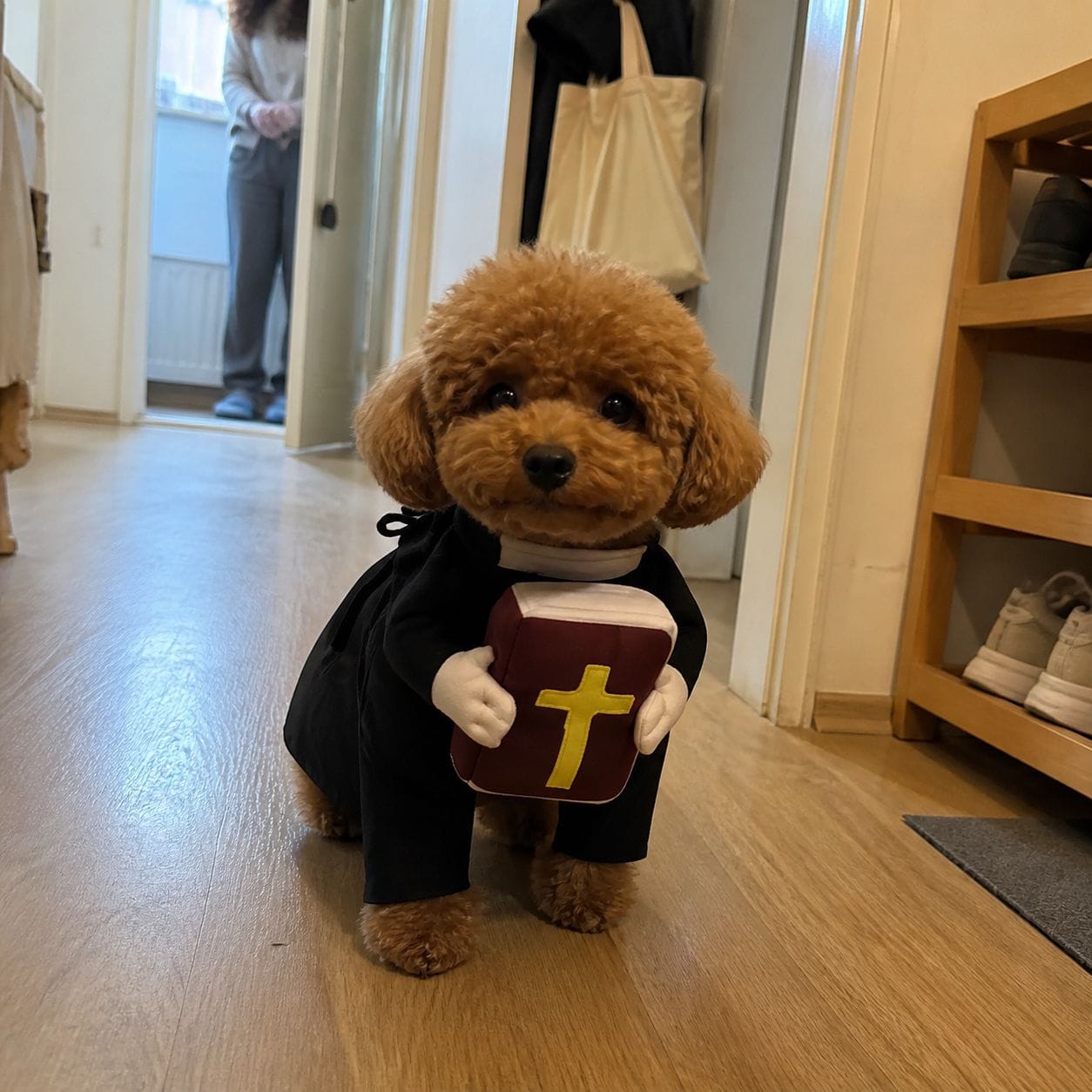 Customer photo review of Blessed Pup Costume