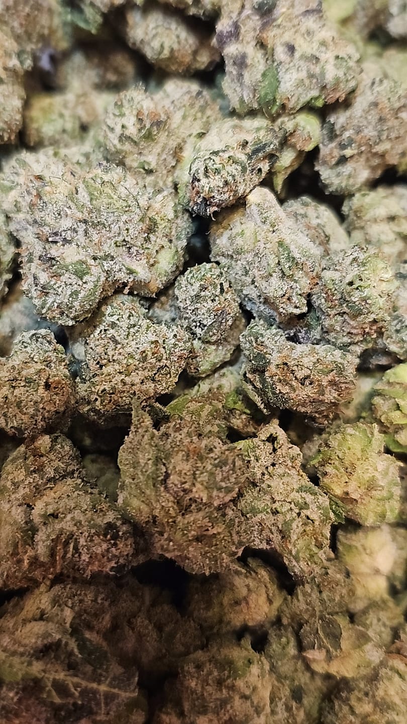 Customer photo review of 🎁 Runtz THCA Flower (Budget) (100% off)