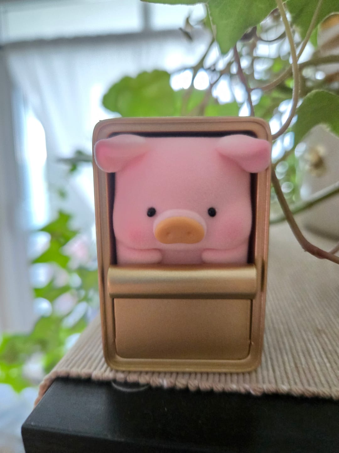 Customer photo review of LuLu The Piggy Stay With You Series Blind Box