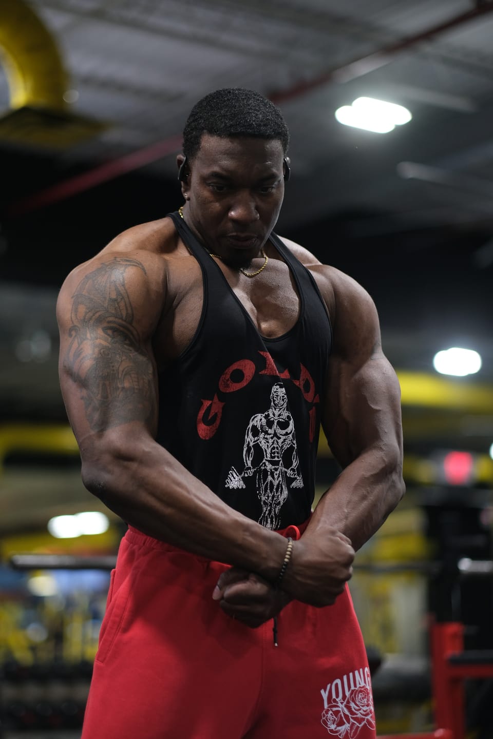 Customer photo review of 3003 - Gold's Iron Legacy Icon Stringers