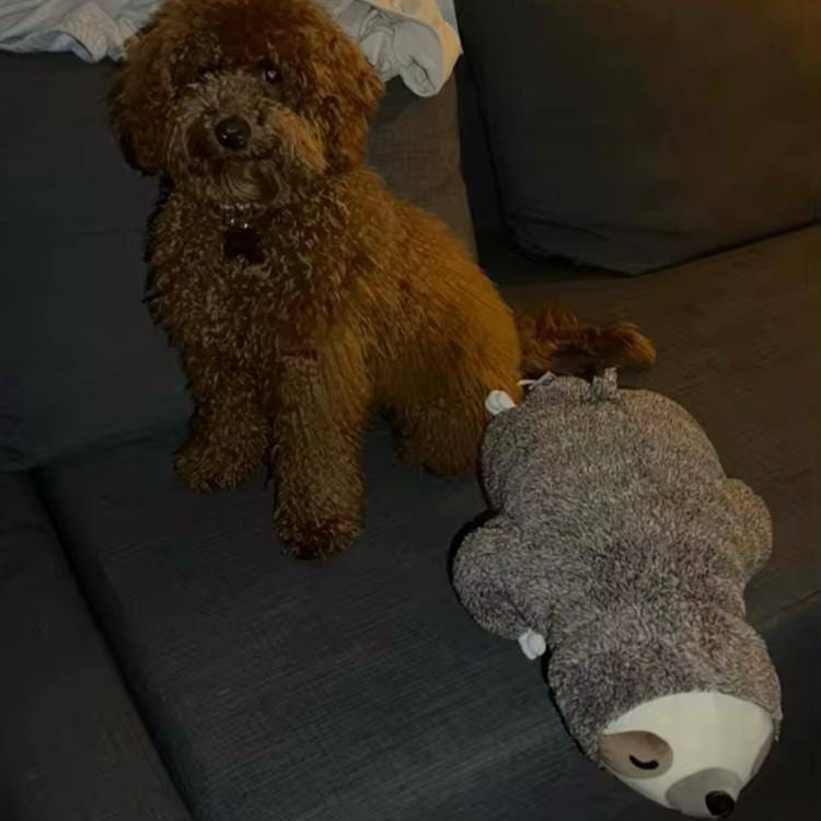Customer photo review of Peluche Calmante con Latido