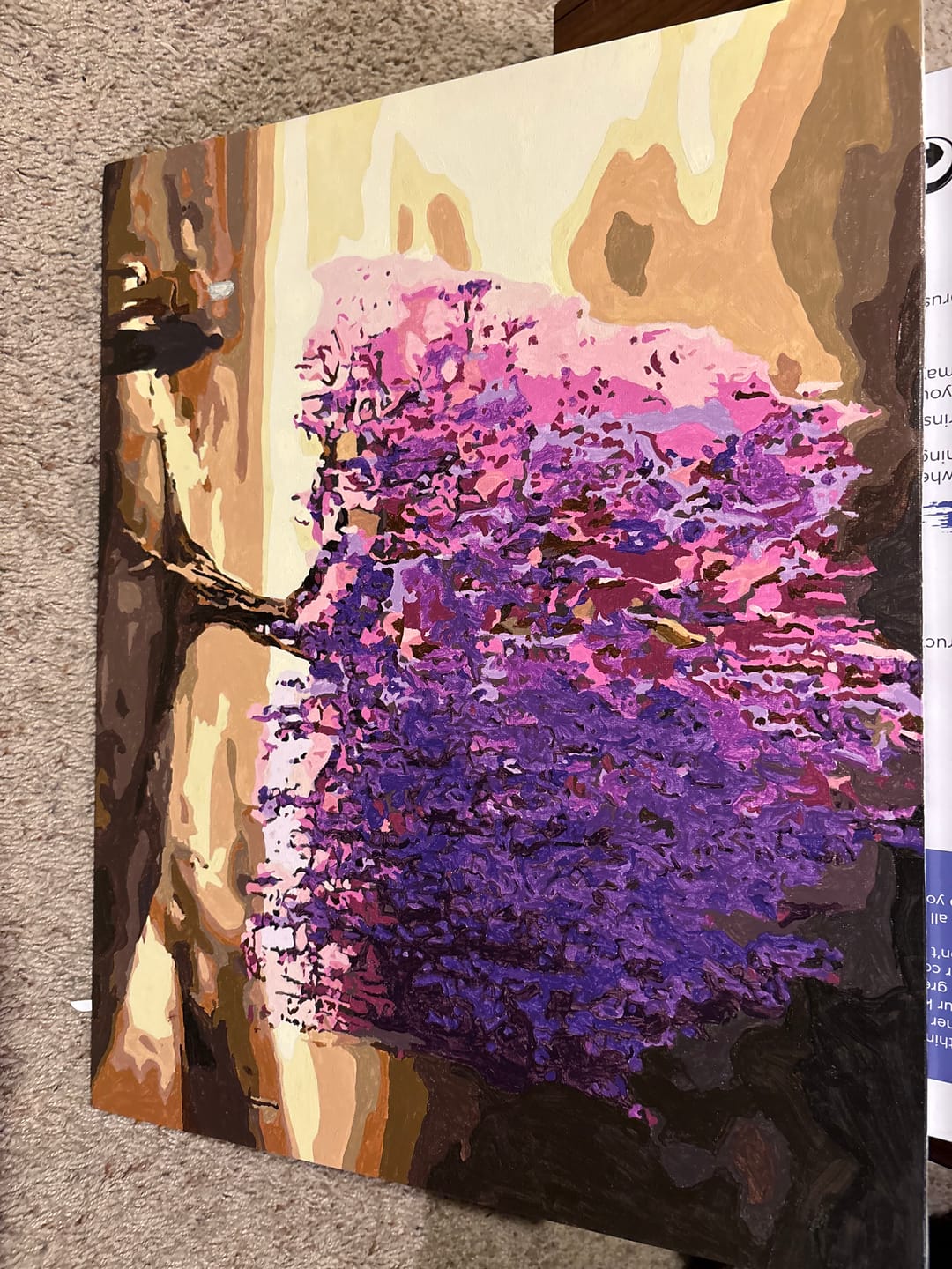 Customer photo review of Custom Paint by Number Kit