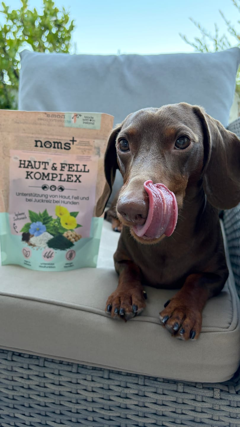 Customer photo review of Haut & Fell Komplex für Hunde