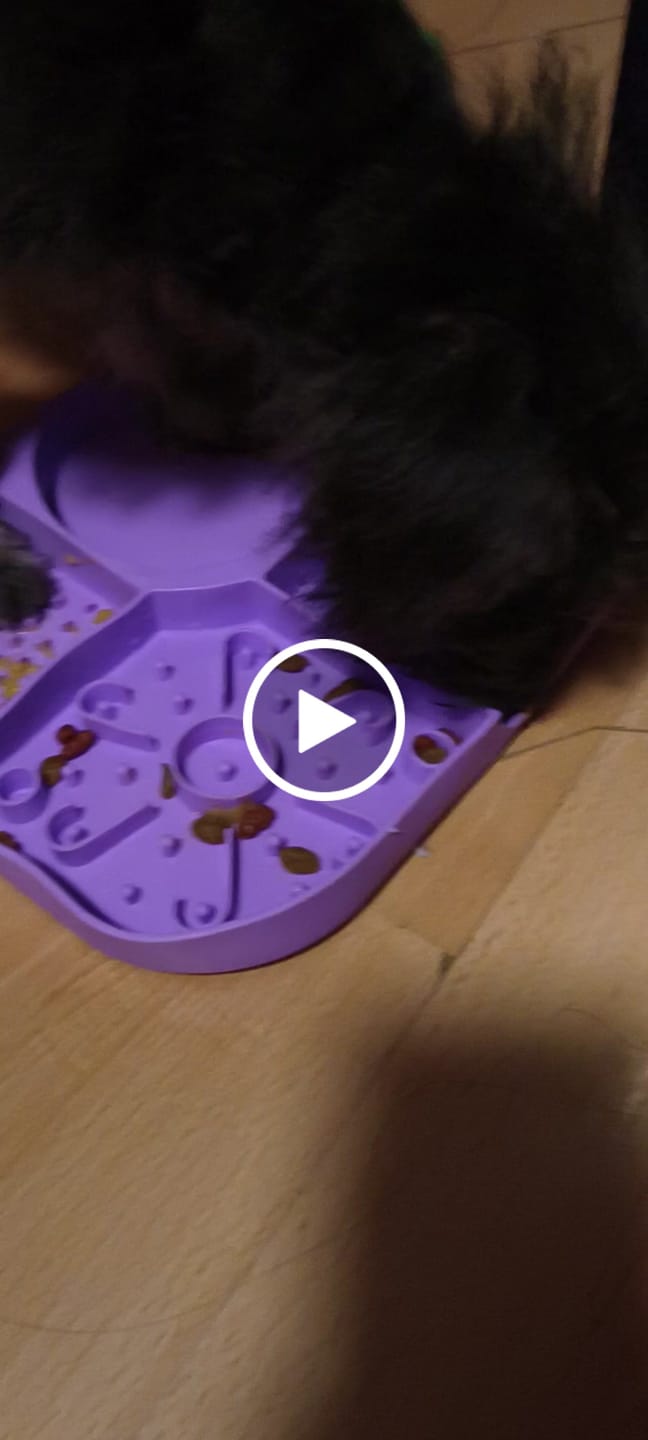 Customer video review of CT0278 1 Pieza De Tapete Para Lamer Para Mascota