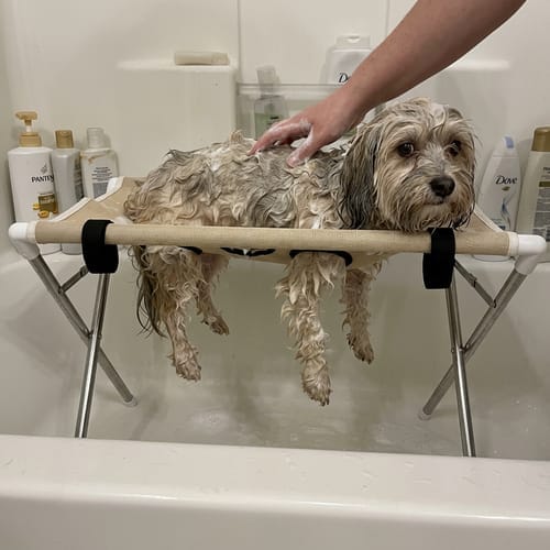 Customer photo review of Mufflo Grooming Hammock