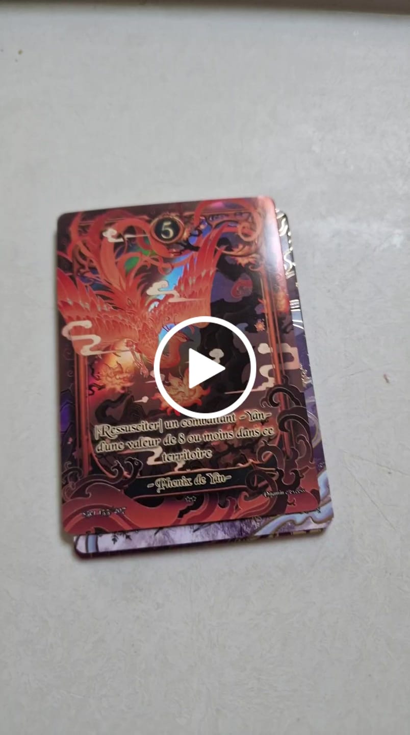 Customer video review of Display Trois Royaumes