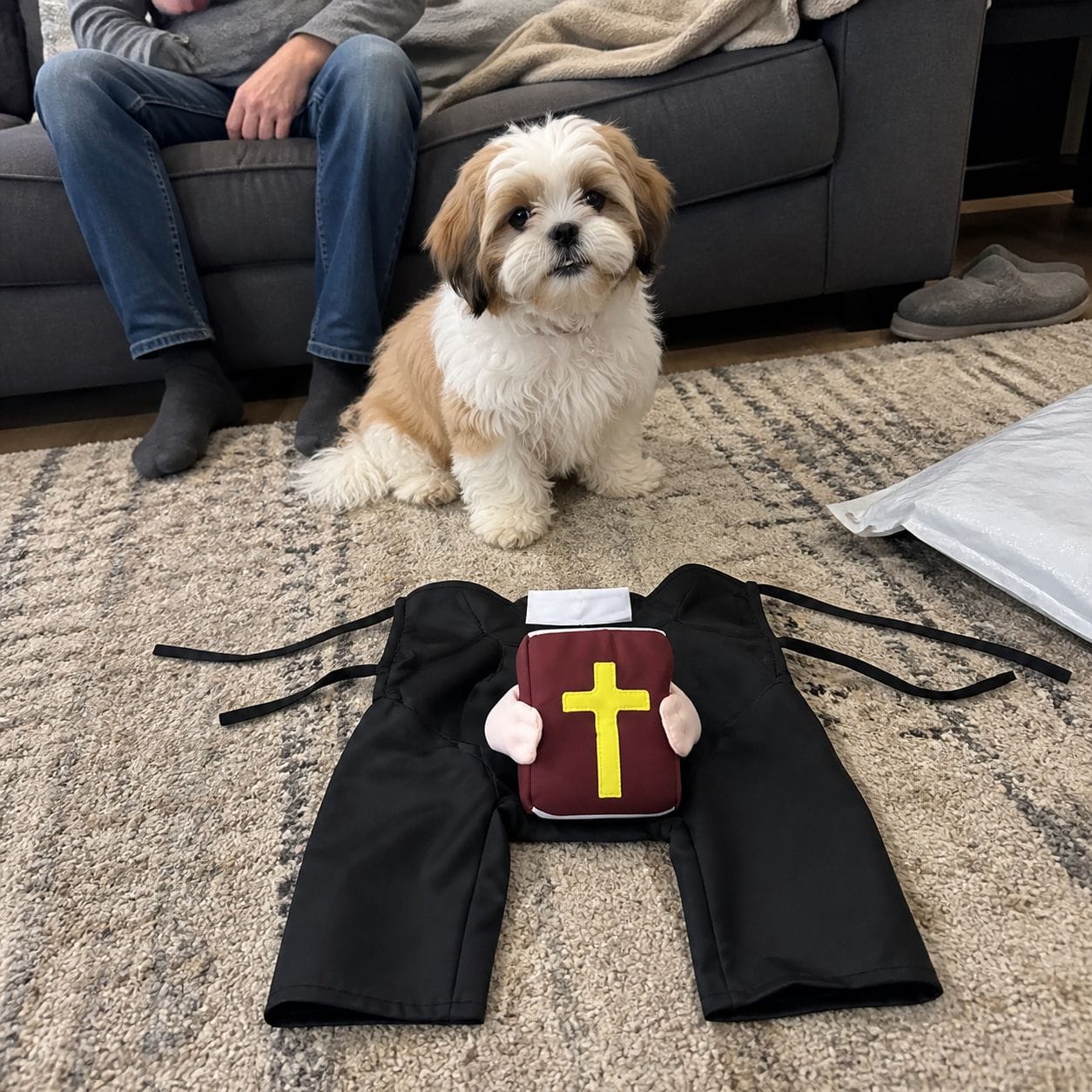 Customer photo review of Blessed Pup Costume