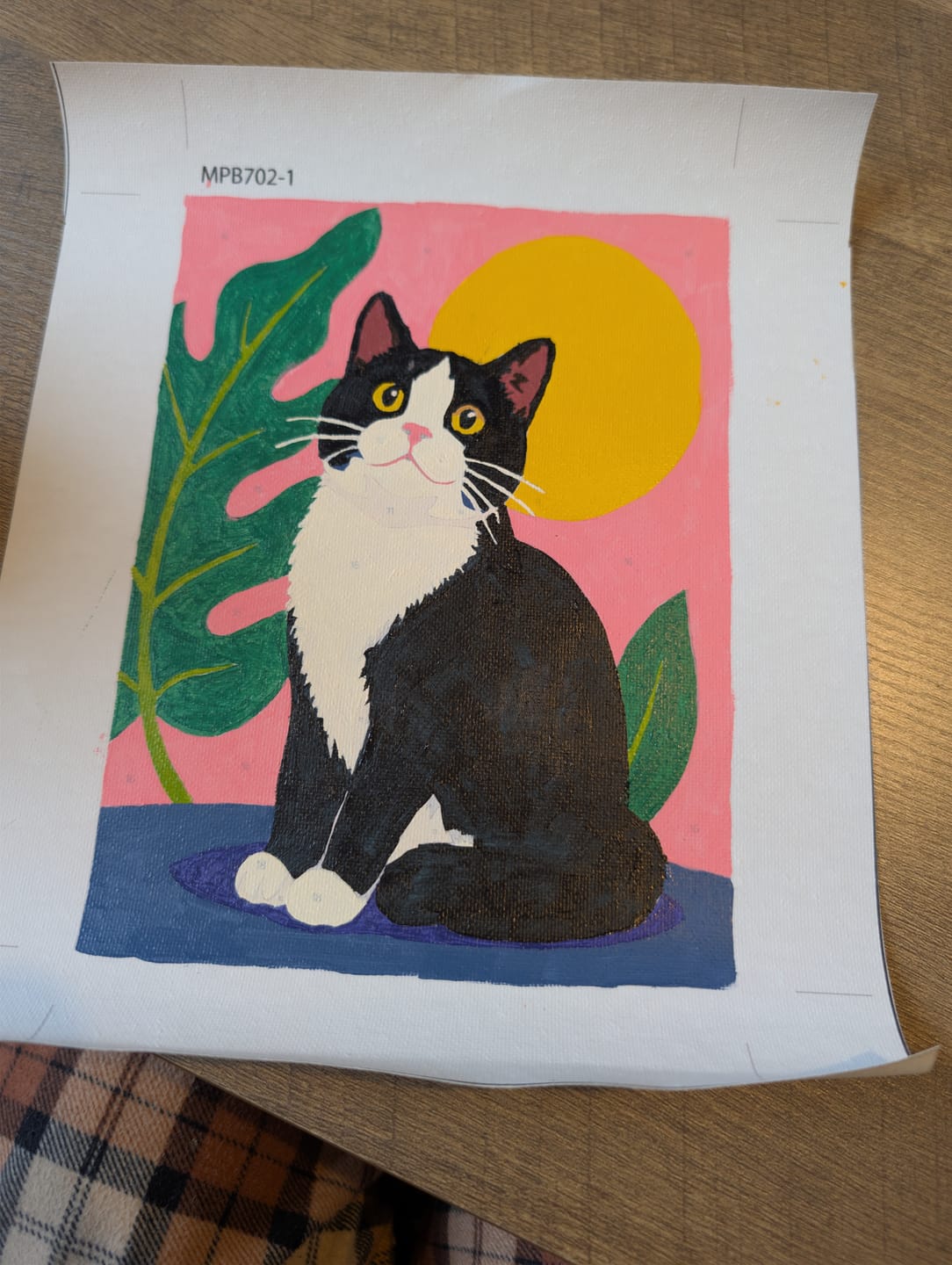 Customer photo review of 6 Mini Paintings - Feline Friends Set