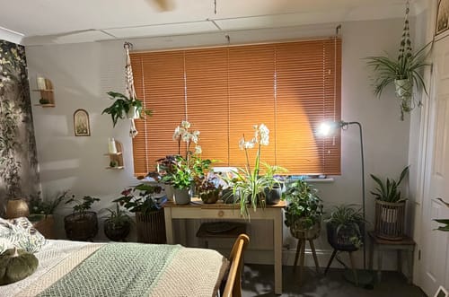 Customer photo review of Pianta 30 Grow Light LED Bulb