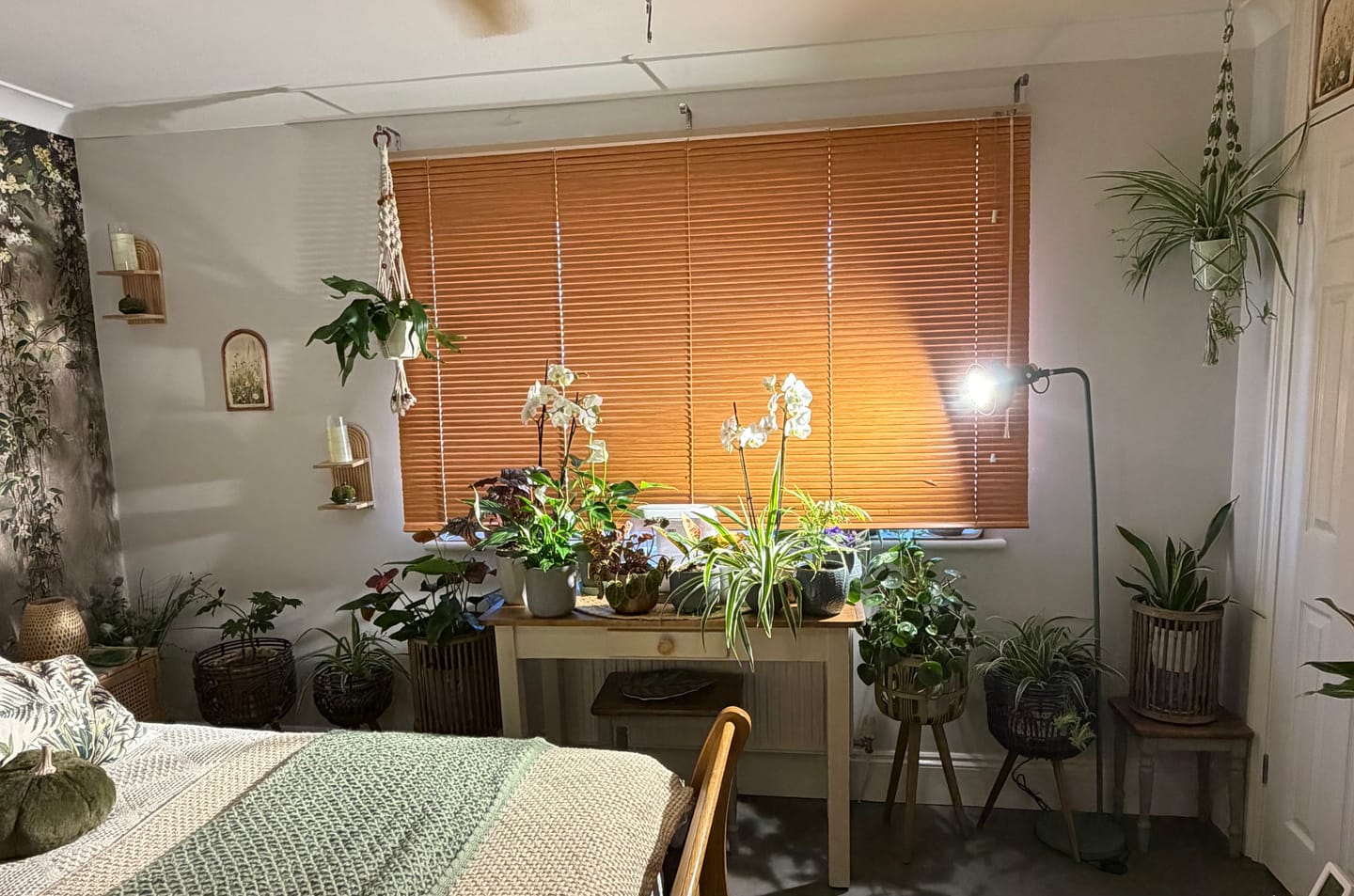 Customer photo review of Pianta 30 Grow Light LED Bulb