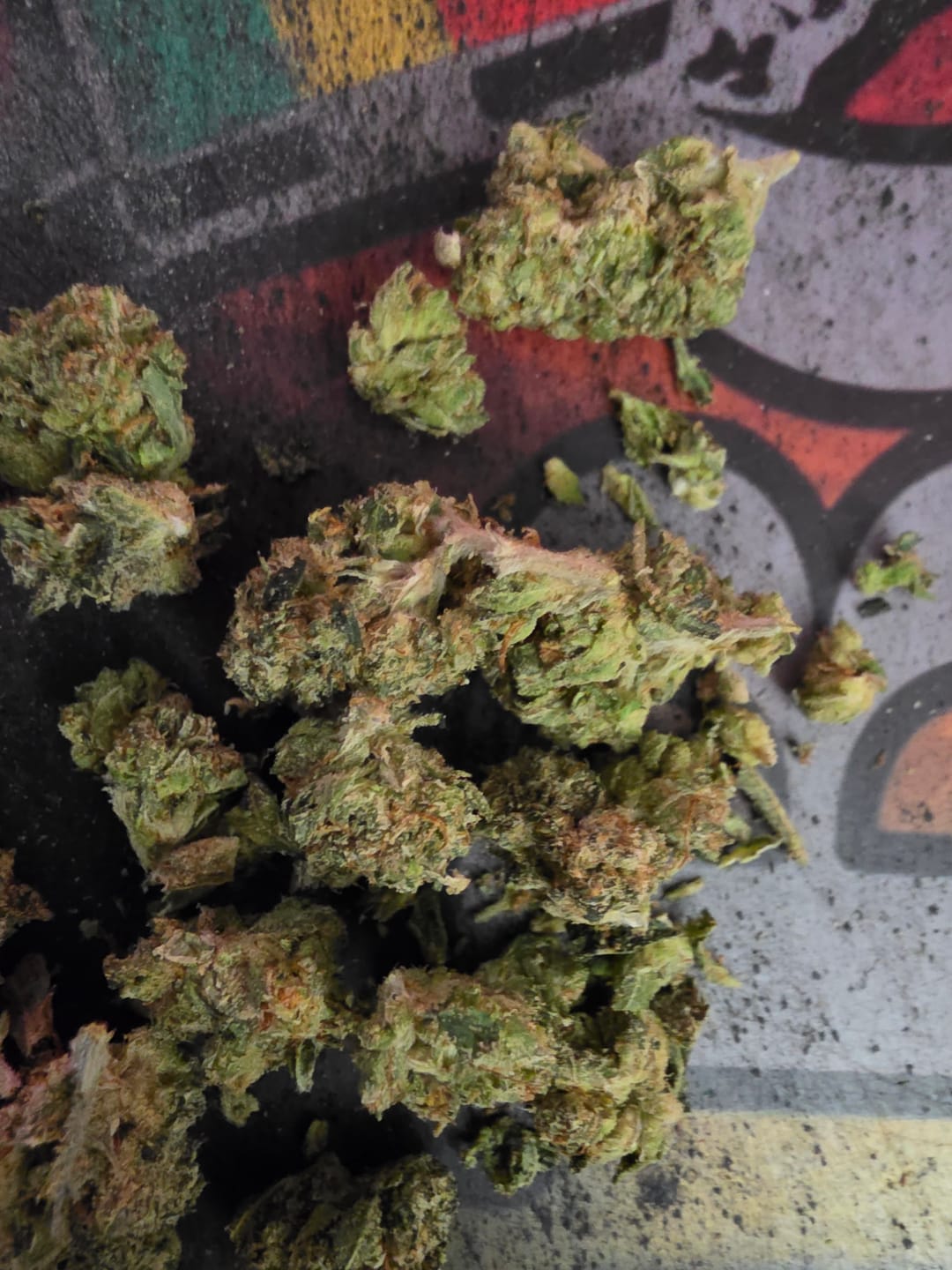 Customer photo review of SFV OG Indoor - Bulk - Indica