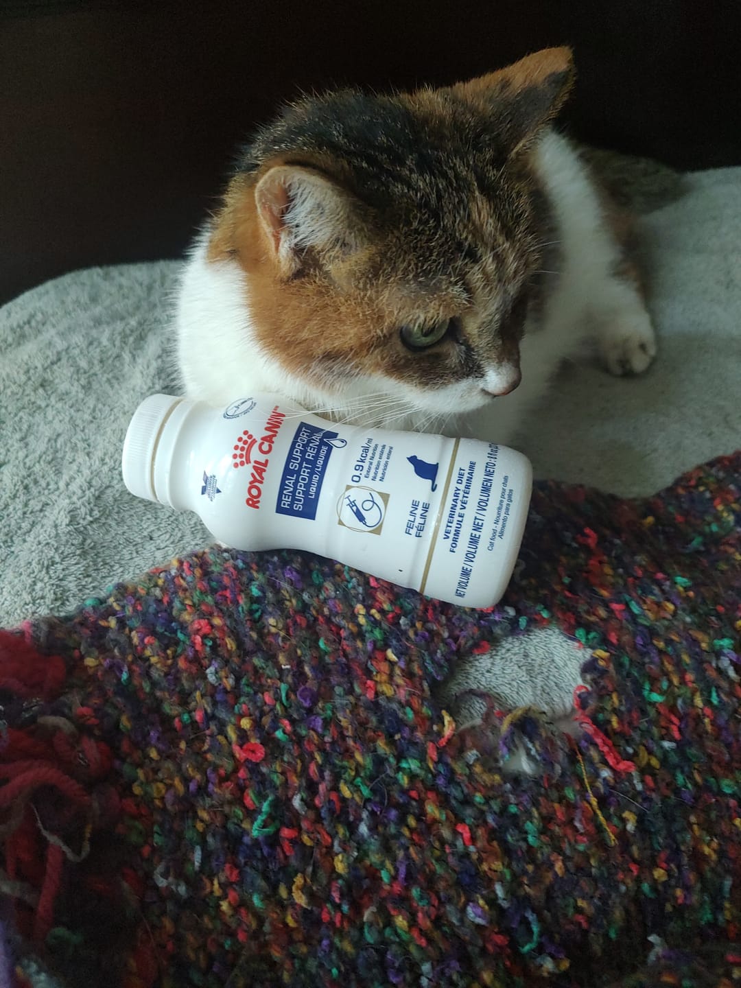 Customer photo review of Royal Canin Veterinary Diet - Renal Support Liquid Feline 4 pack