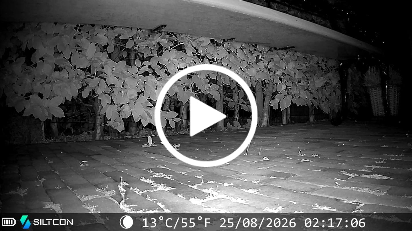 Customer video review of Siltcon® Wildcamera Nachtzicht en wifi 4K