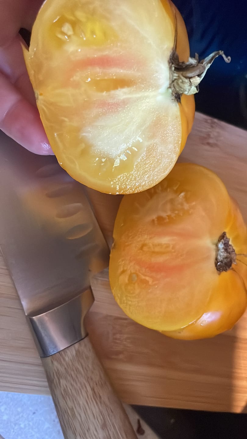 Customer photo review of Fleischtomate 'Ananas'