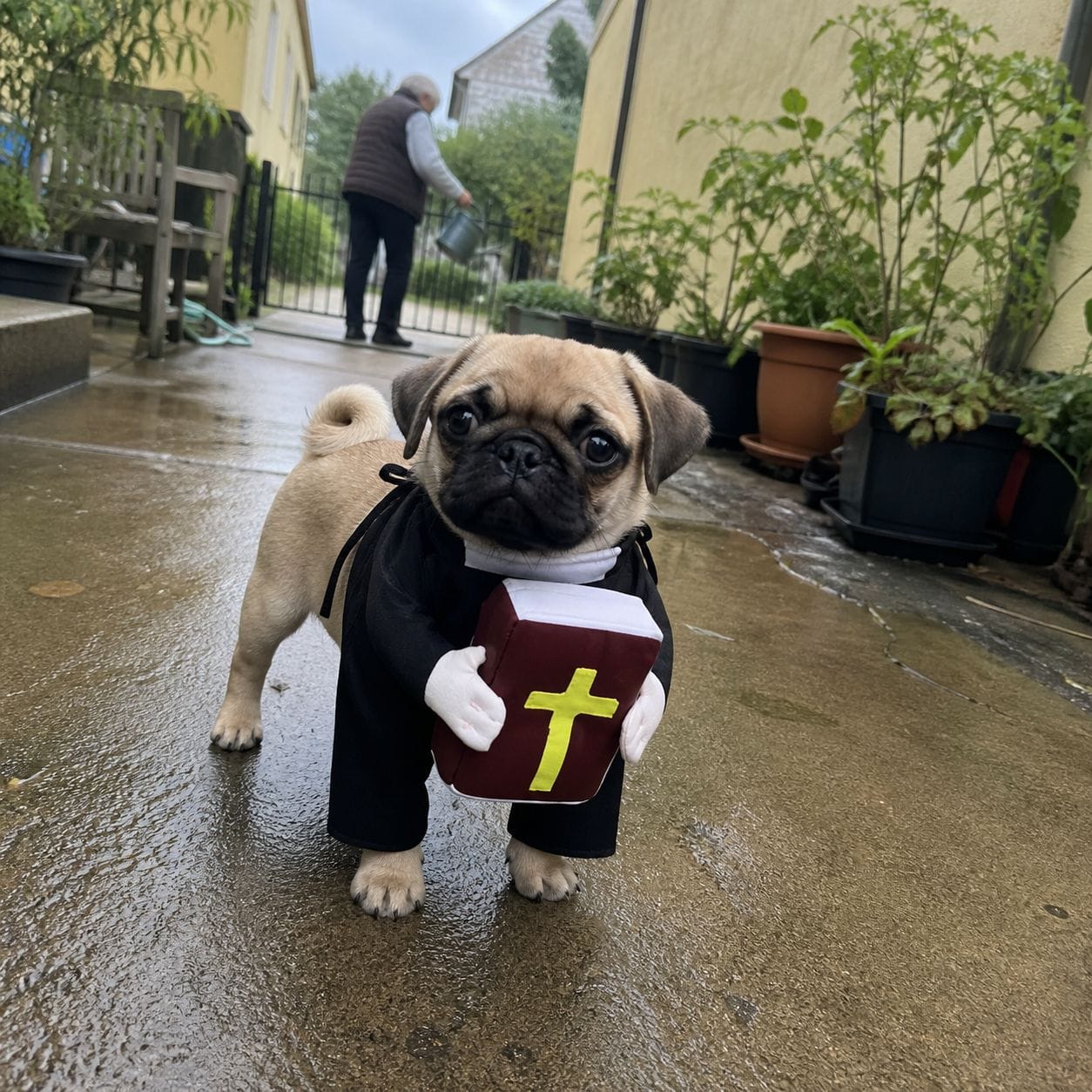 Customer photo review of Blessed Pup Costume