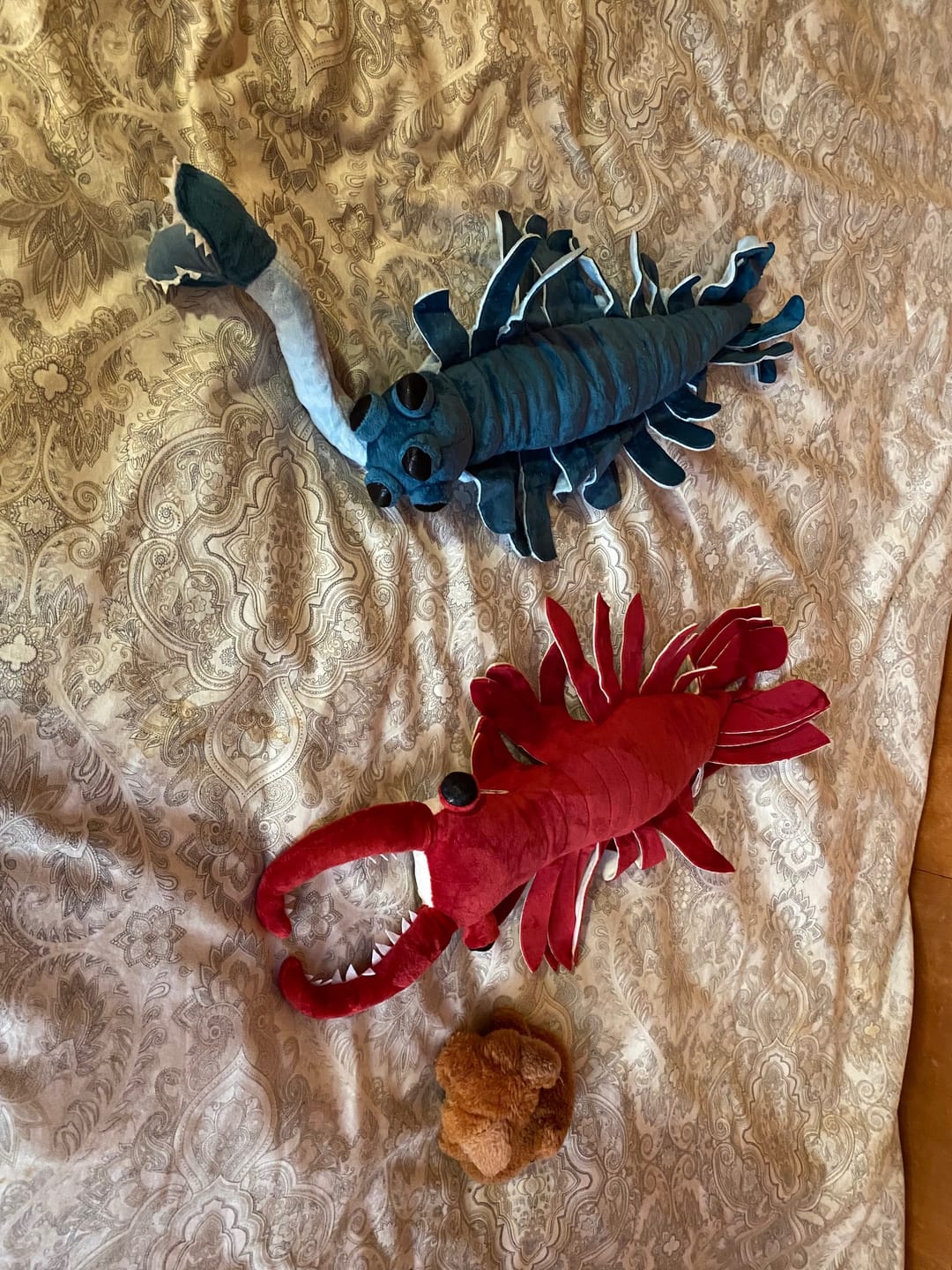 Customer photo review of Anomalocaris Arthropod Soft Stuffed Plush Toy