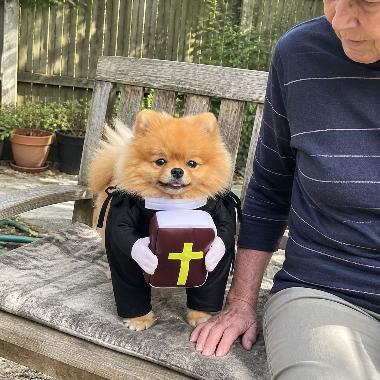 Customer photo review of Blessed Pup Costume