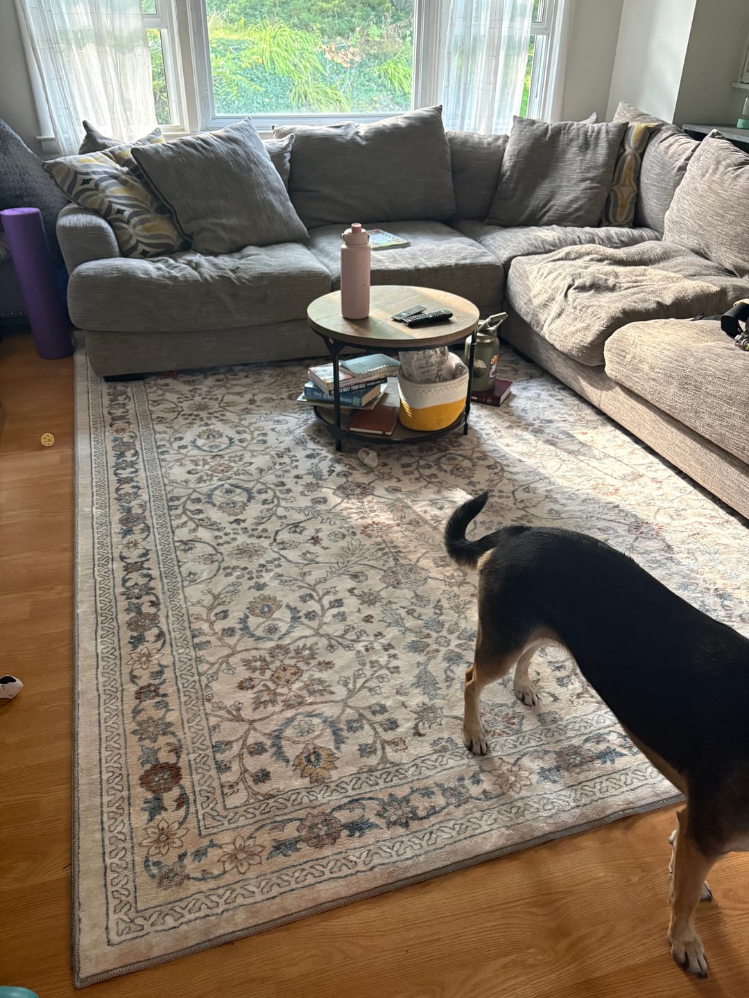 Customer photo review of Aster Washable Area Rug - Beige/White