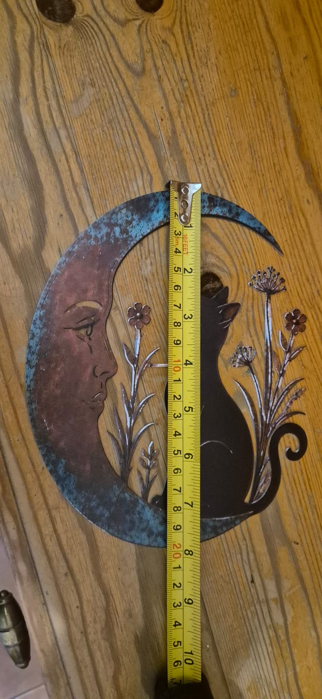 Customer photo review of Dragonfly Moon Wall Decor