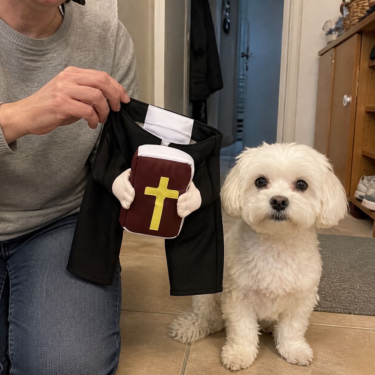 Customer photo review of Blessed Pup Costume