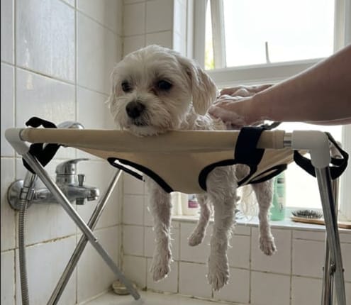 Customer photo review of Mufflo Grooming Hammock