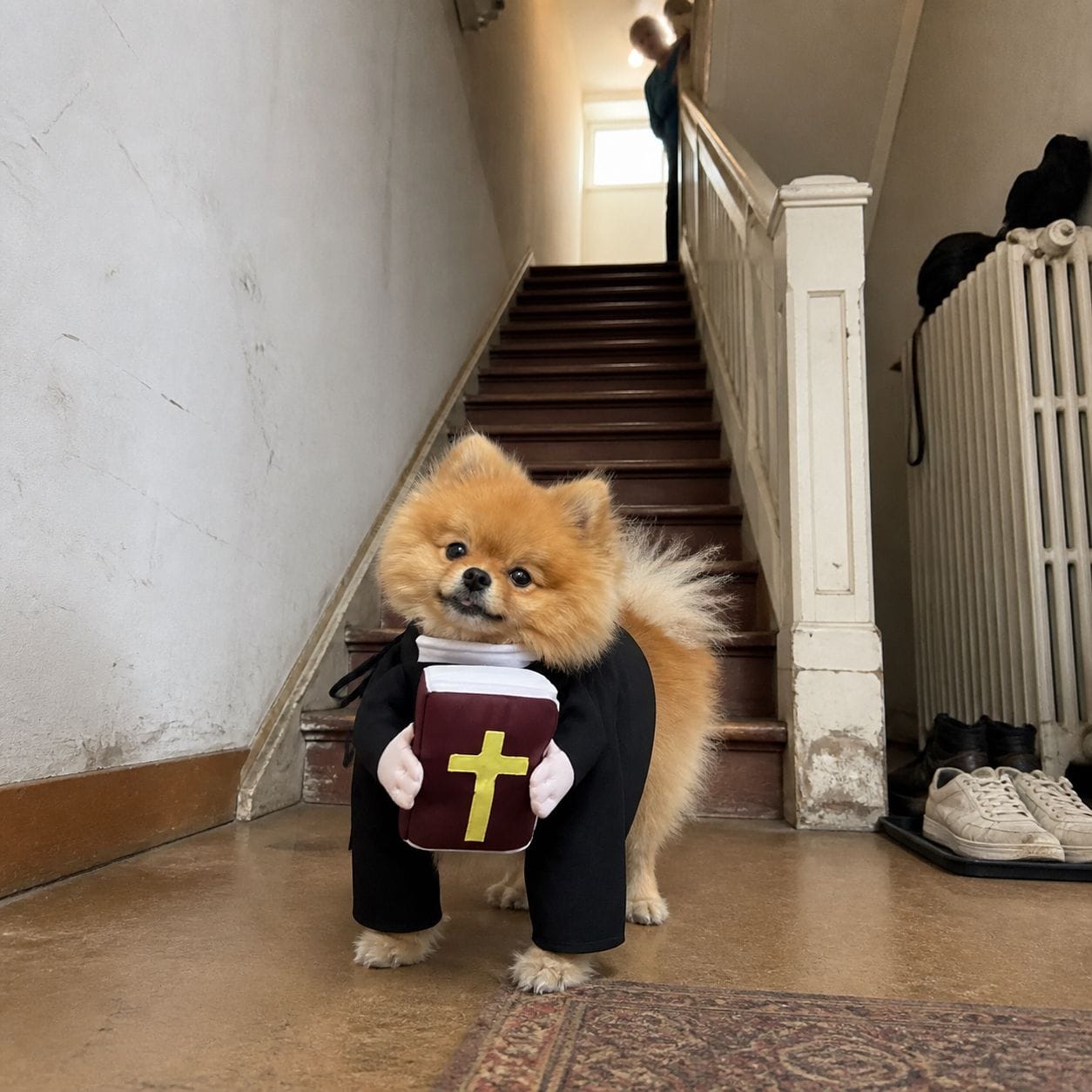 Customer photo review of Blessed Pup Costume