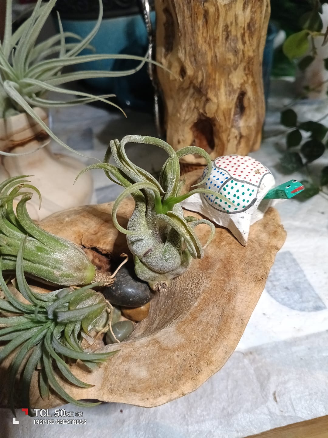 Customer photo review of Caput Medusae  (Beginner Friendly!)