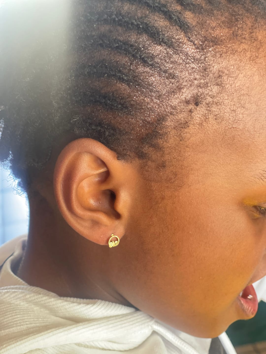 Customer photo review of Mini Era Logo Studs