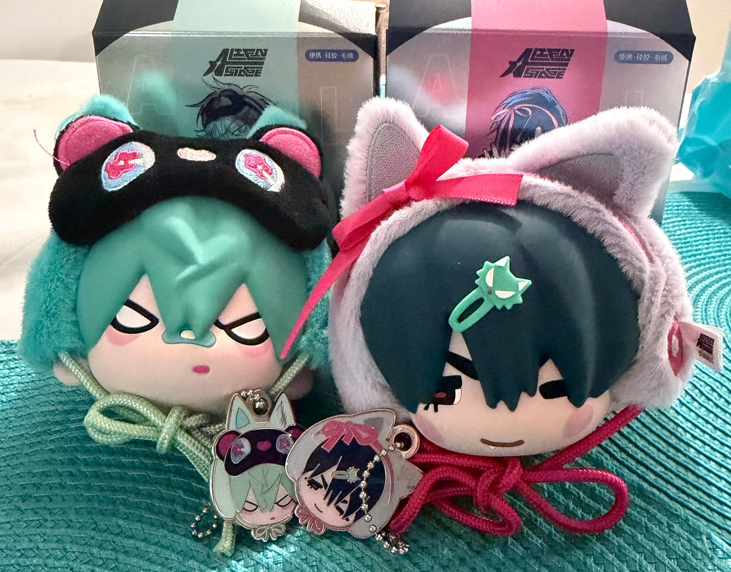 Customer photo review of Alien Stage Freedom Stage Series Earphone Pouch