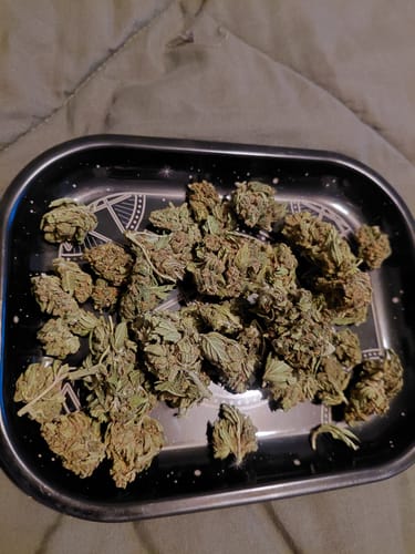 Customer's Rock Candy THCA flower featuring several medium-sized, green buds scattered on a patterned black rolling tray.