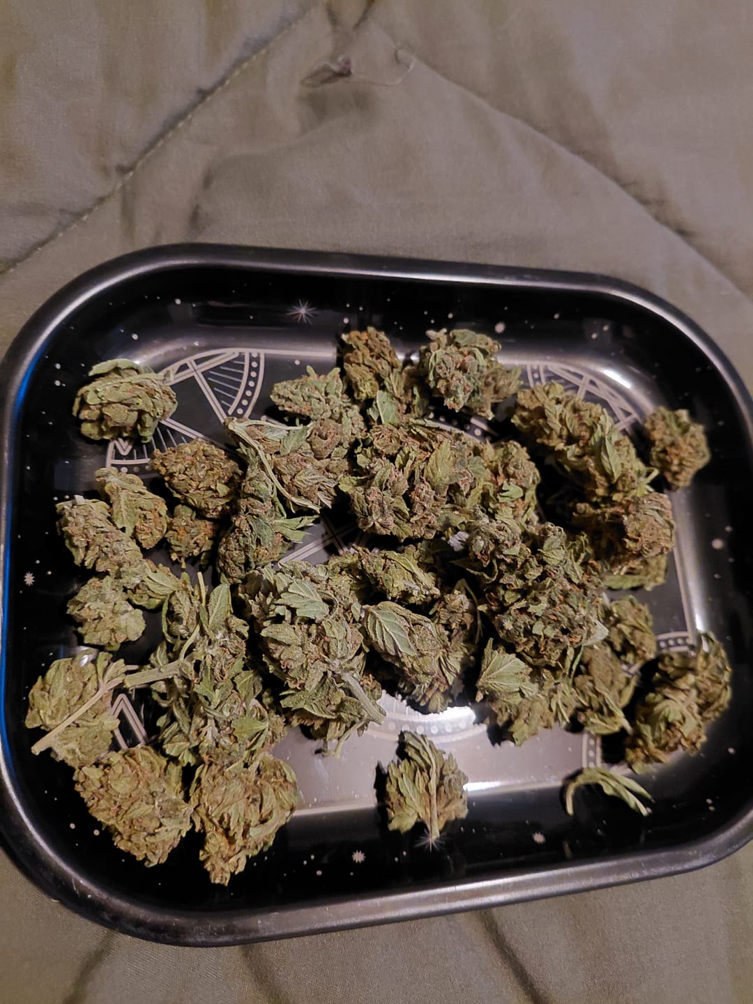 Customer photo review of Rock Candy (Budget) - THCA Flower