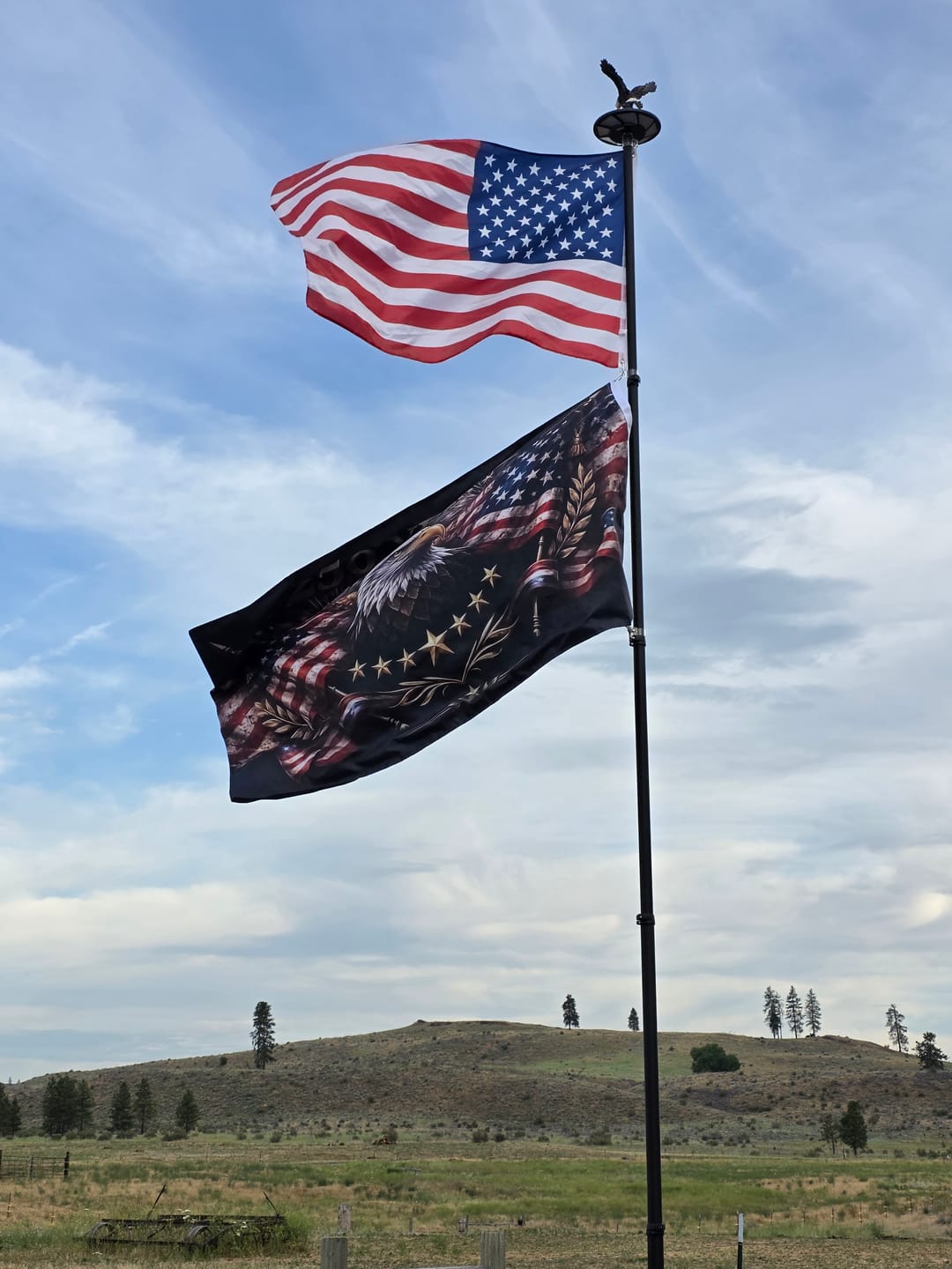 Customer photo review of The Eagle Rises: America 250th Anniversary Flag