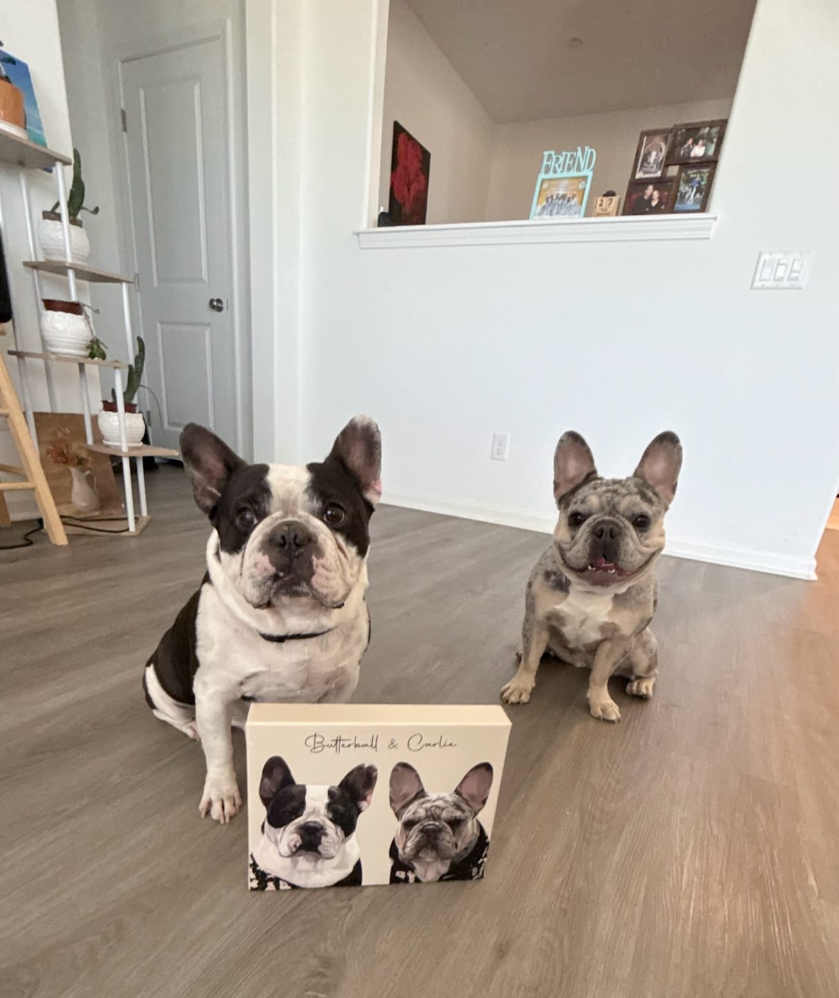 Customer photo review of Pet Art Canvas Wrap
