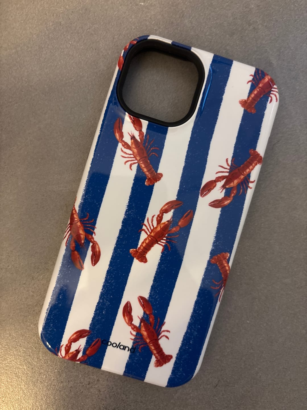 Customer photo review of Lobbie