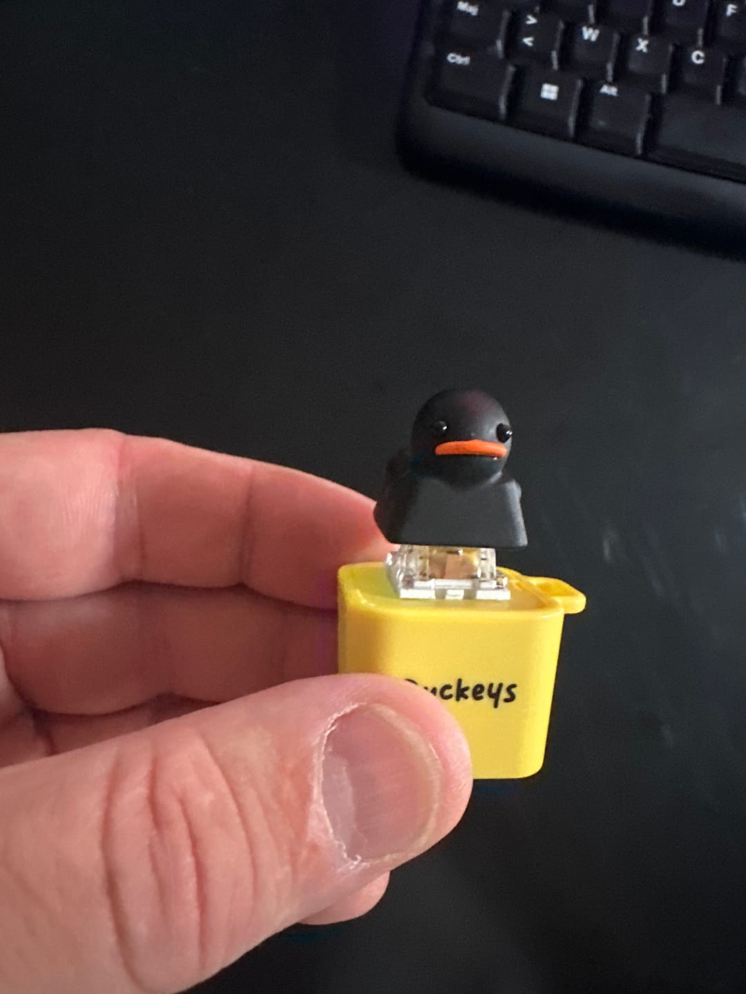 Customer photo review of Mystery Keycap - Costume Party