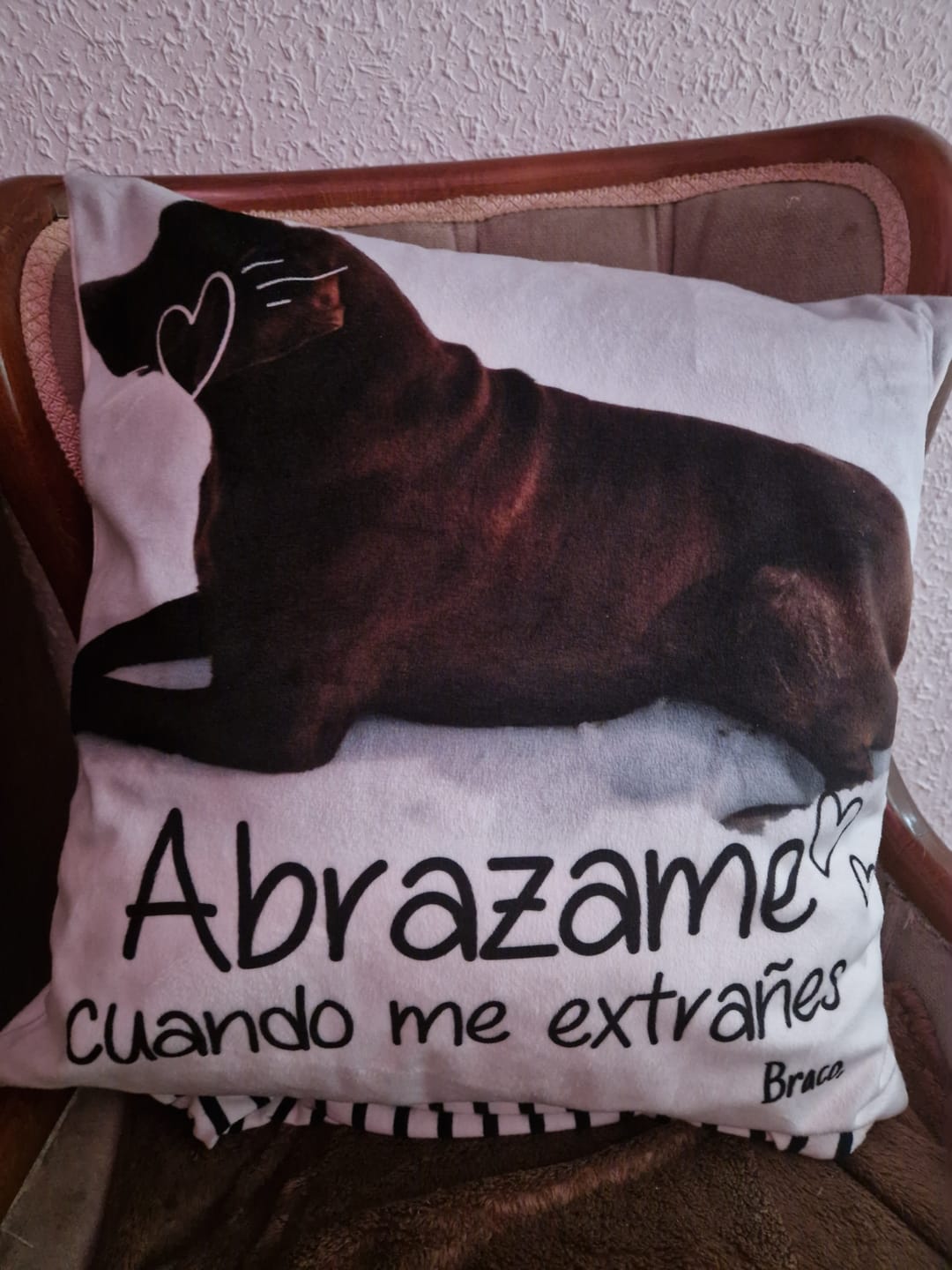 Customer photo review of Abrazame cuando me extrañes - Cojín personalizado