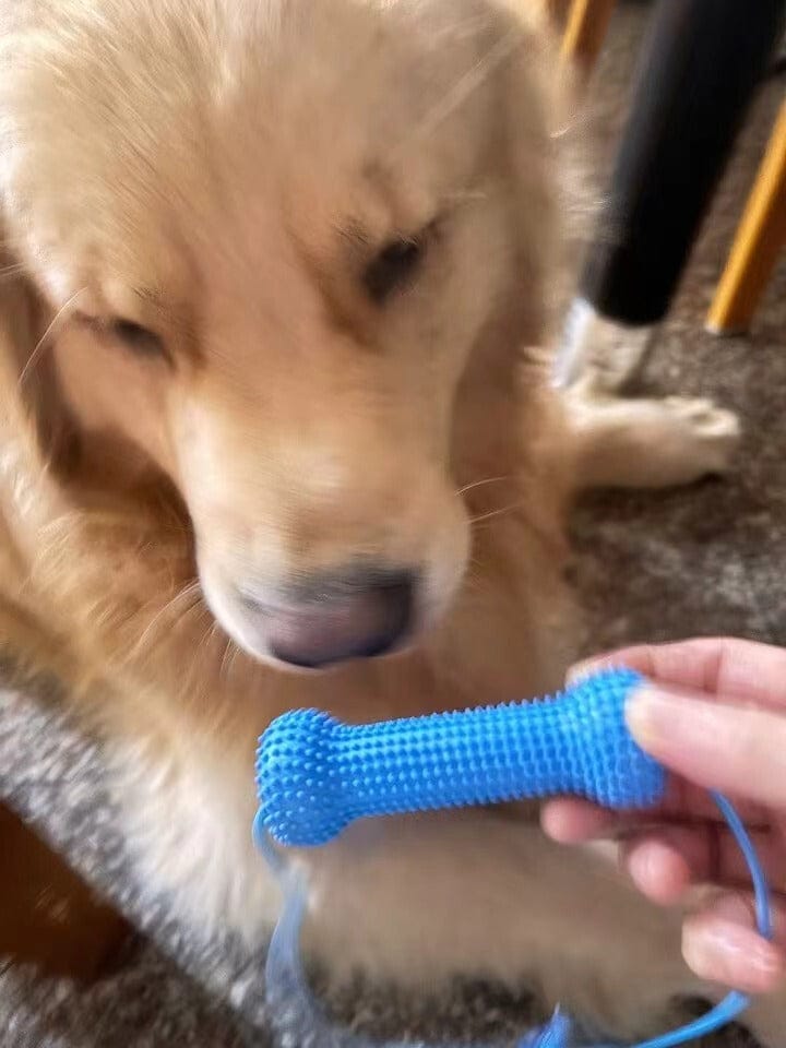 Customer photo review of Calming Assistant