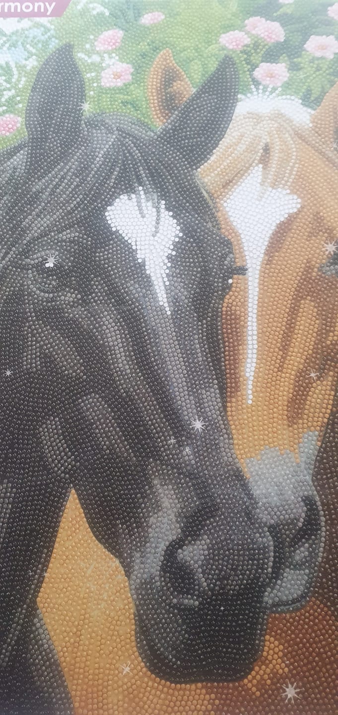Customer photo review of Horses In Harmony Crystal Art Canvas Kit 40x50cm
