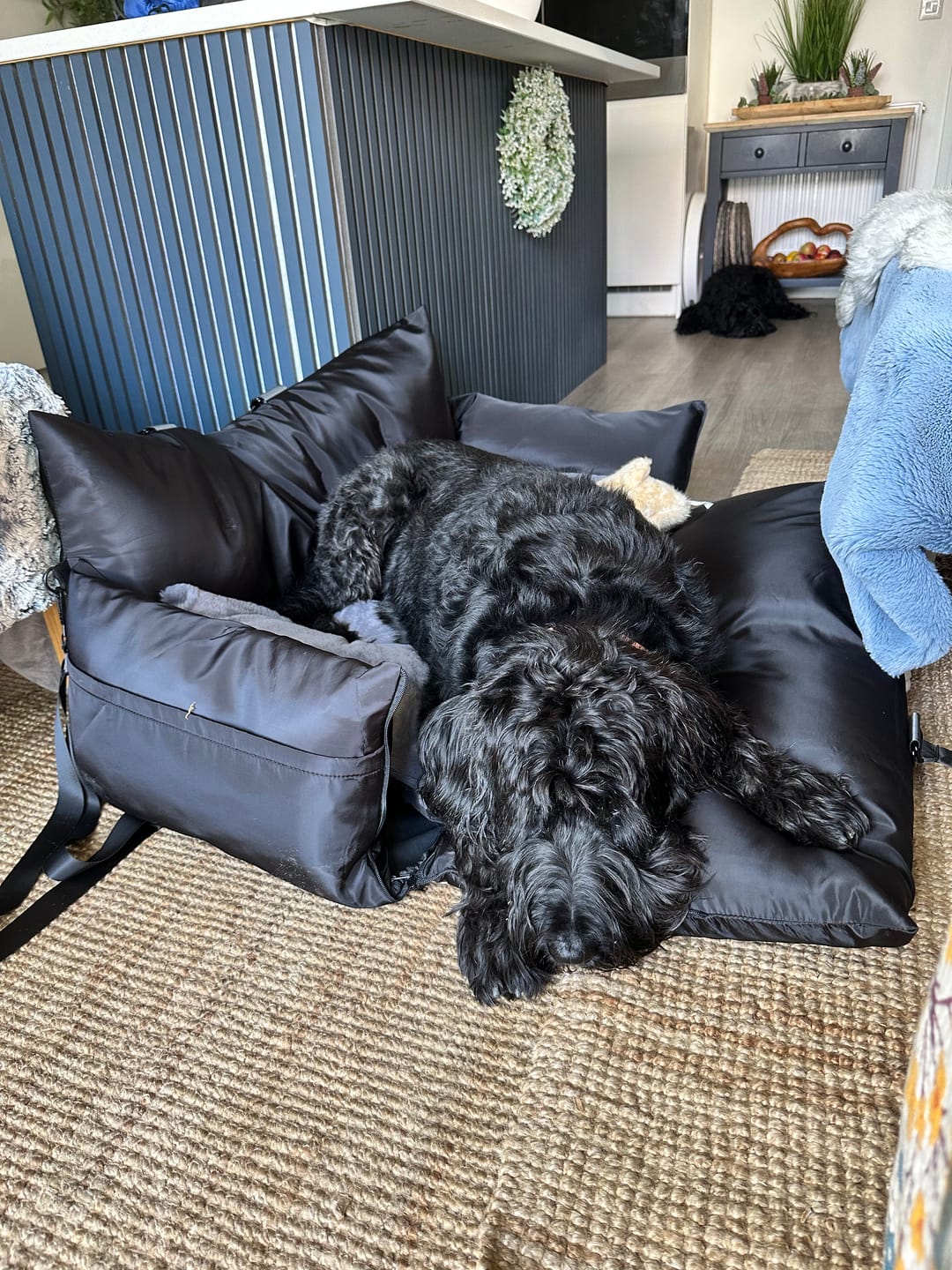 Customer photo review of Travel Dog Pod XL - Now With Isofix