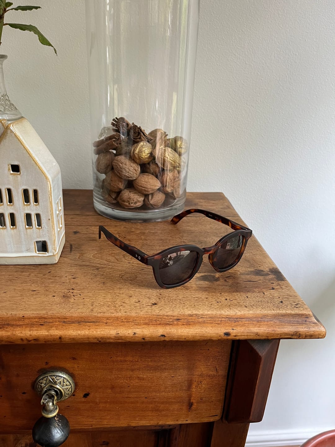 Customer photo review of Thom Tortoise