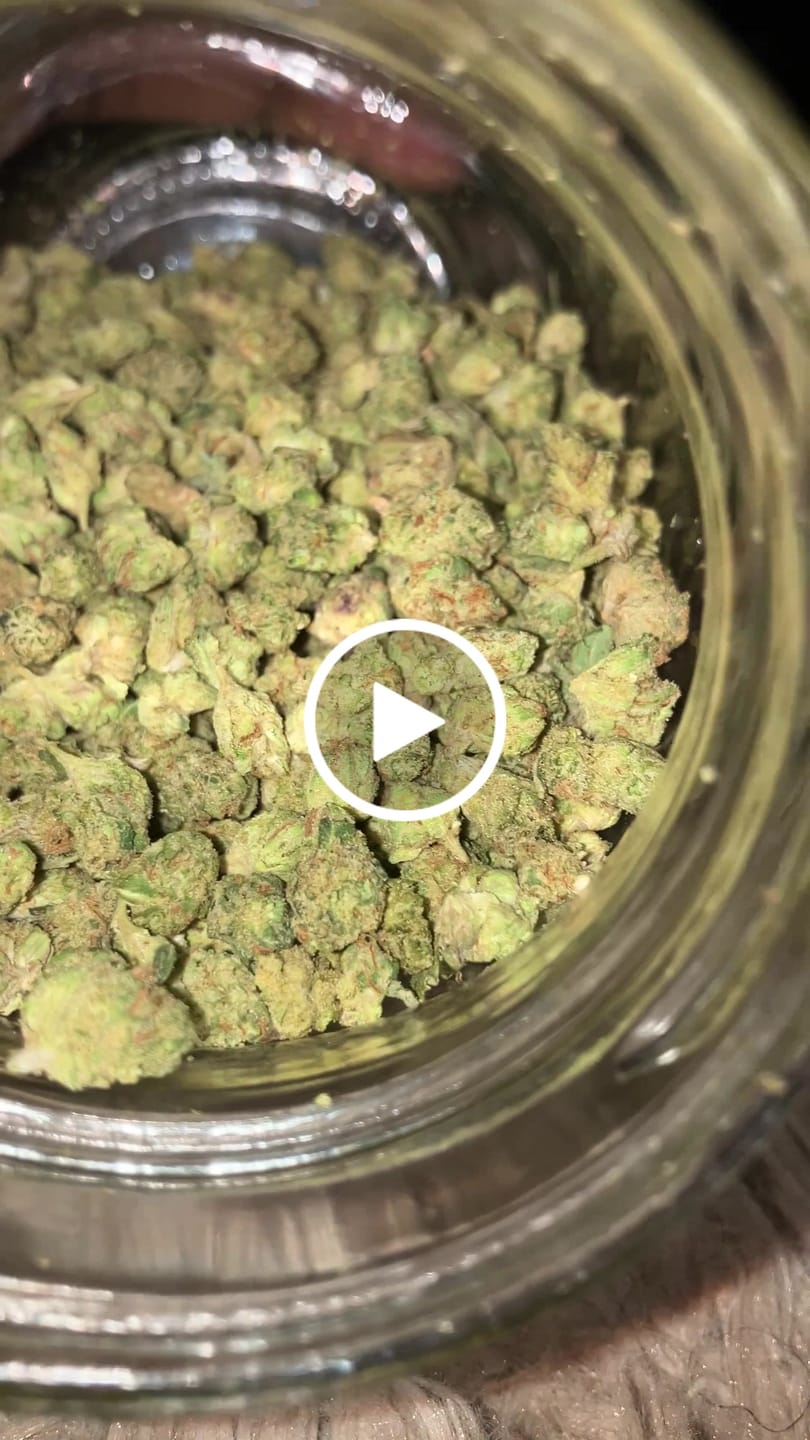 Customer video review of 1 Oz Cheap THCA Small Buds