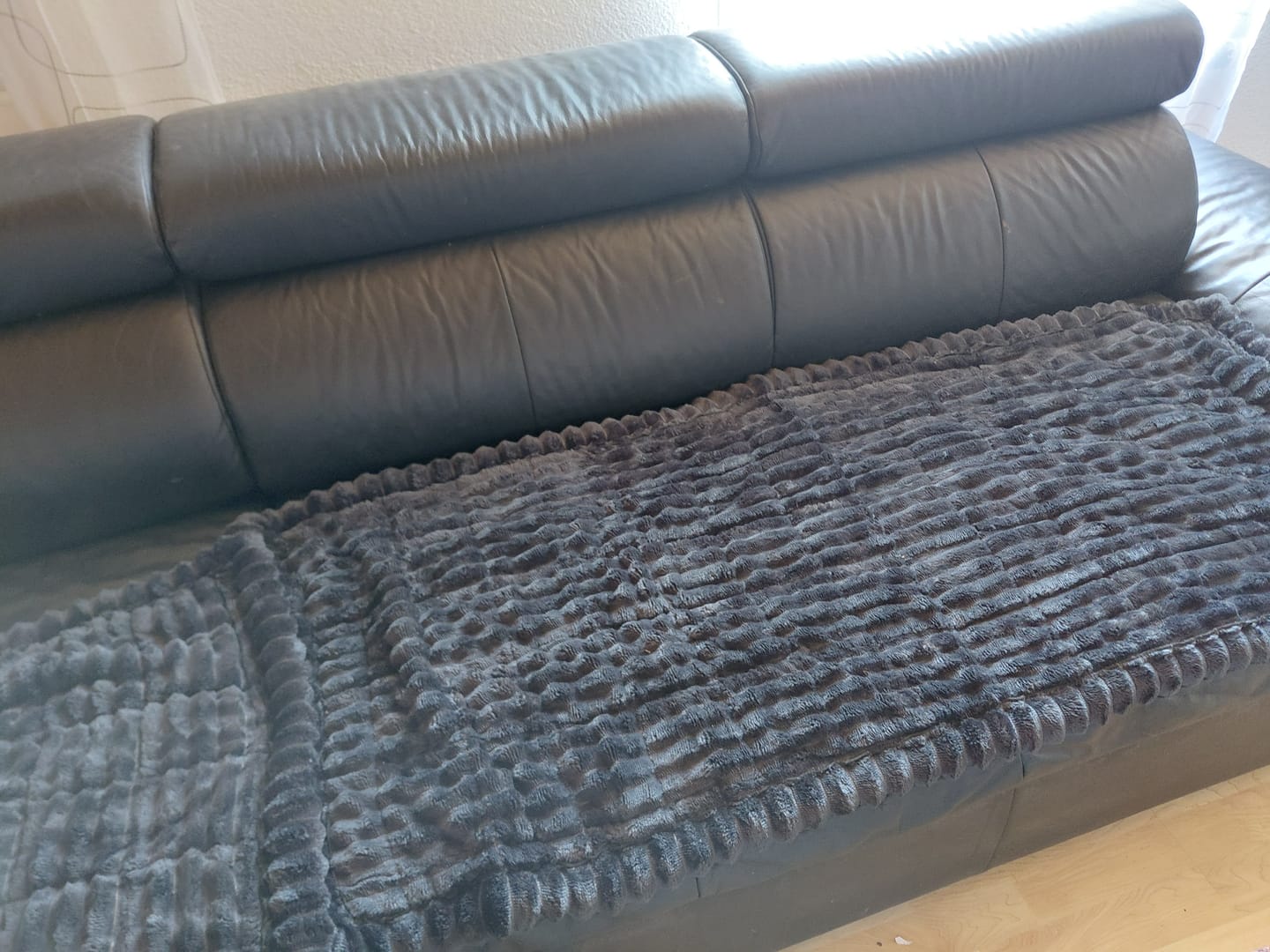 Customer photo review of PetLounge I Premium Sofa-Schutz