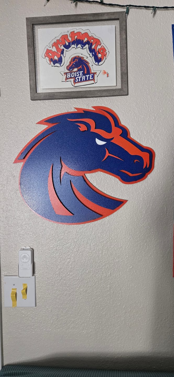 Customer photo review of Boise State Broncos 3D Vintage Metal Wall Art