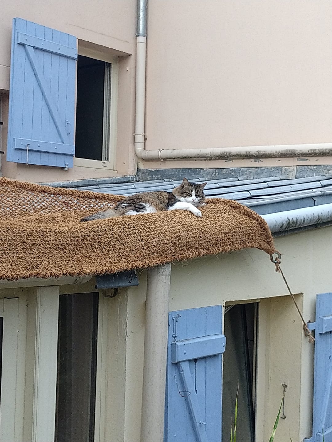 Customer photo review of Voile d'ombrage en fibre de coco