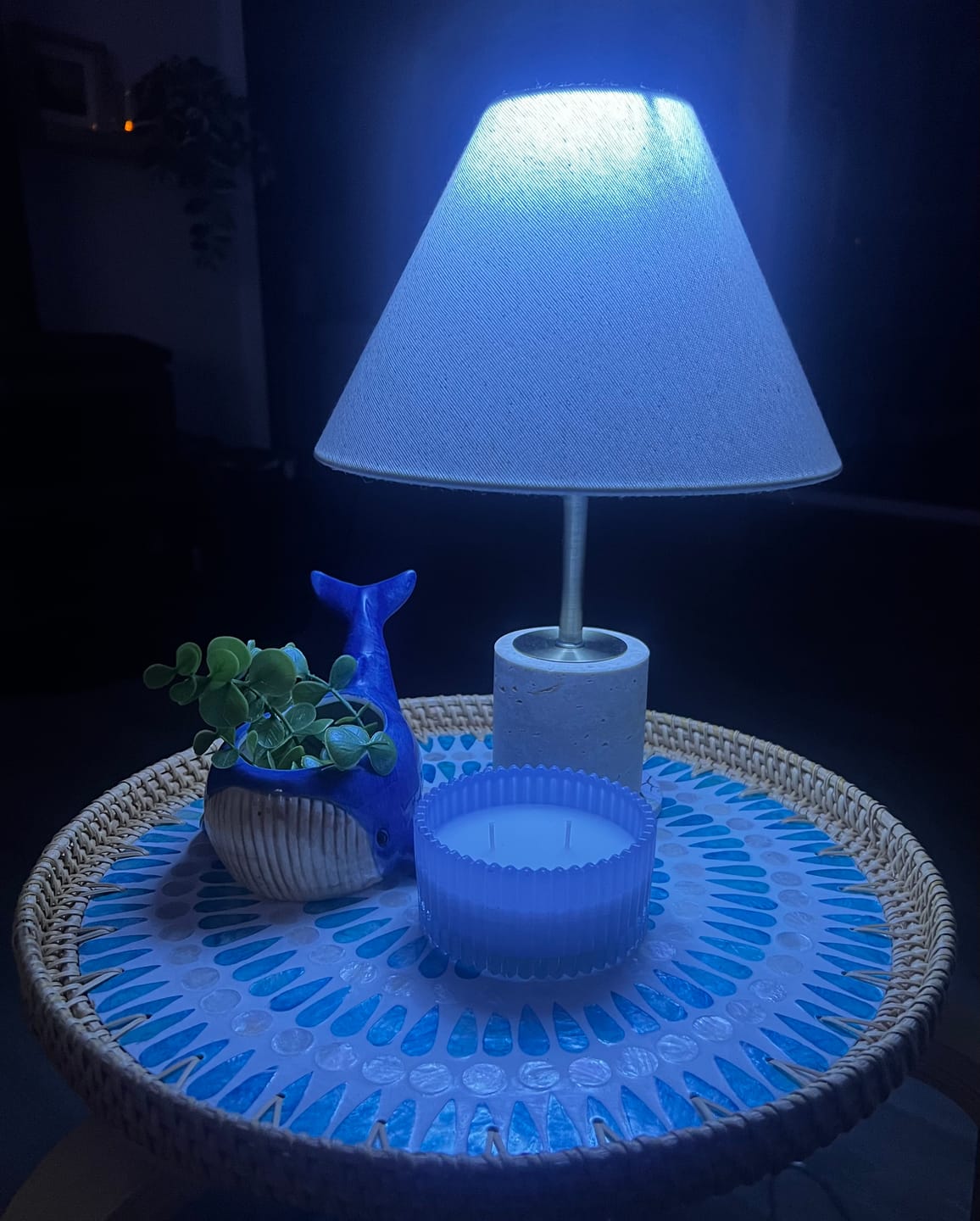 Customer photo review of Serene Large Rattan Tray
