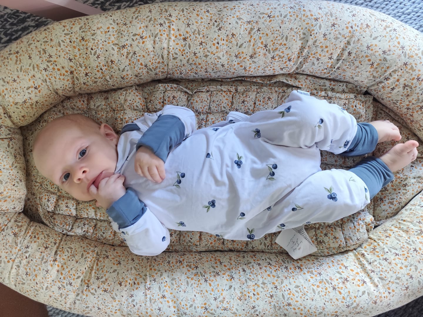 Customer photo review of Mitwachsender Einteiler - Vintage Blueberry