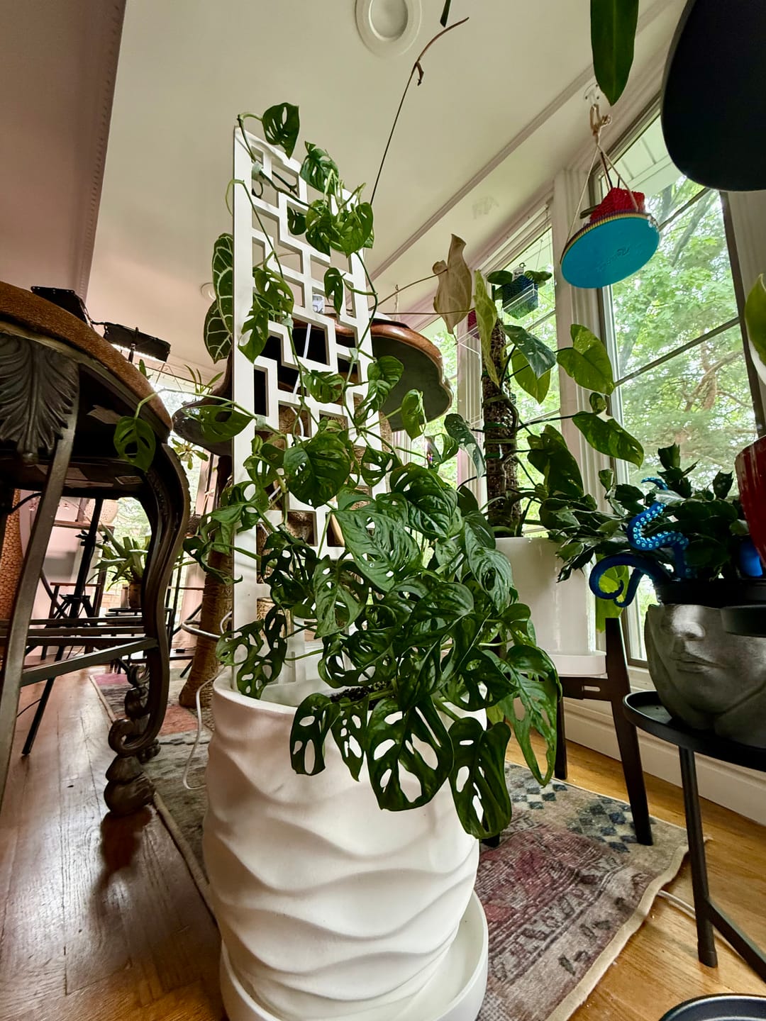 Customer photo review of Tropical Squares Wooden Trellis