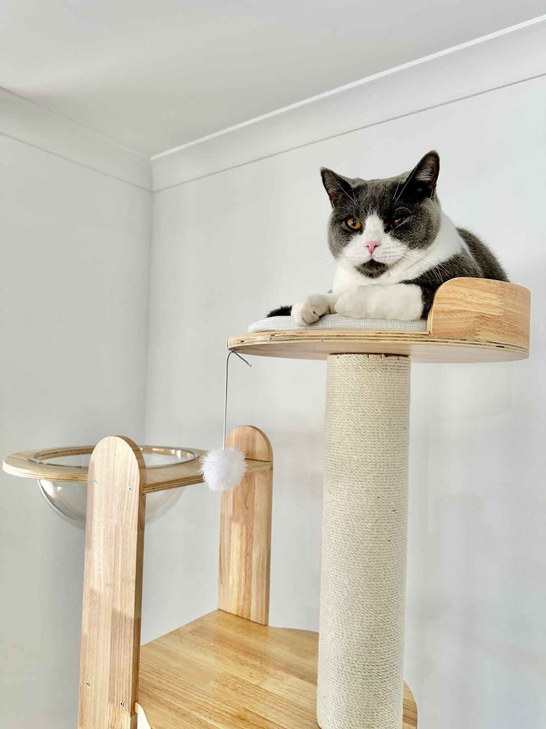 Customer photo review of Solid Wood Multi-Level Cat Tower - 183cm